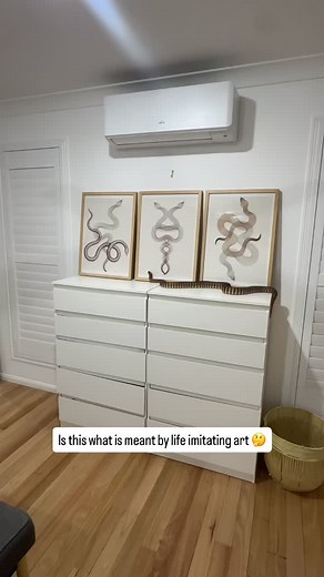 61 reactions · 4 comments | Life imitating art  ‍ #sunshinecoast #sunnycoast #art #snakes #python #woma #animals #cute #funny #funnyreels | That Snake Lady | Facebook