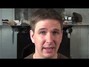 Only if it fits in a Bomb Shelter