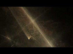 Aloboi - New World (Just Rawer)