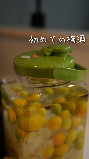 22時帰宅レシピ|みきぞう|29歳 on Instagram: "梅酒の作り方 梅...1キロ 氷砂糖...1キロ ホワイトリカー...1.8ℓ ①梅を優しく洗い3回くらい水を入れ替える。 ②水を張ったボウルに梅を入れて串でヘタを取る。 ③キッチンペーパーでしっかり水気を取る！ ※これをしないとカビがはえます！ ④梅、氷砂糖の順番で入れます。 ⑤ホワイトリカーを入れて完成！ 初めて作りましたけどめっちゃ簡単でした！！ 3ヶ月寝かせると美味しい梅酒ができます☺️ #簡単料理 #レシピ #レシピ #レシピ動画 #料理動画 #梅酒"
