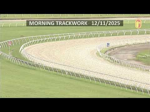 Track Work - Cam 1 (12/11/2025)