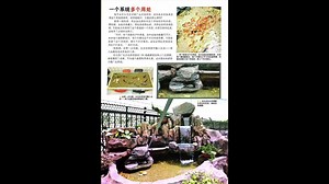 68K views · 416 reactions | ECOPOND SYSTEM Our founder Mr. William, a fish enthusiast showing you how and why ECOPOND System works. Join us on this journey to discover the enjoyment of crystal clear, odorless and hassle free fish pond system. www.ecopondsystem.com.my | Ecopond System | Facebook