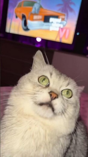 BARKING CAT CAME OUT OF NOWHERE..