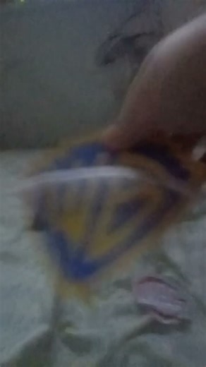 warner bros and warner animation group destroyed