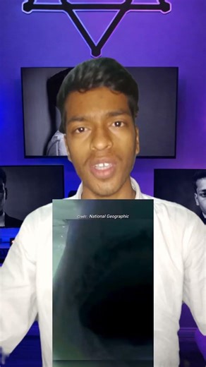 Why_Should_You_Learn_From_Shark_