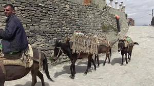 167K views · 2.8K reactions | Arreza e Devollit, e braktisur...