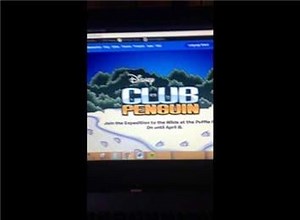Oldest "Club Penguin" Penguin (Online)