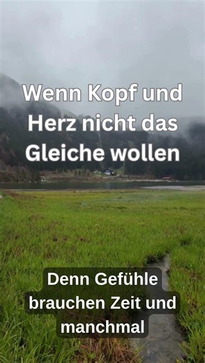 Wenn Kopf und Herz nicht das Gleiche wollen