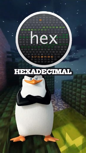 El código hexadecimal es el idioma secreto de las máquinas, se usa comúnmente en informática para representar de forma más compacta y legible el código binario. . . . #Hexadecimal #Developer #Ingeniería #Software #binary #Computación #Informática #Software | Sergie Developer