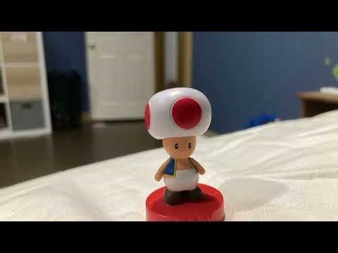 Toads playing at the beach