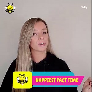 79K views · 394 reactions | This bernese mountain dogs reaction to his owner in an inflatable trex suit is hilarious!練 | Happiest | Facebook