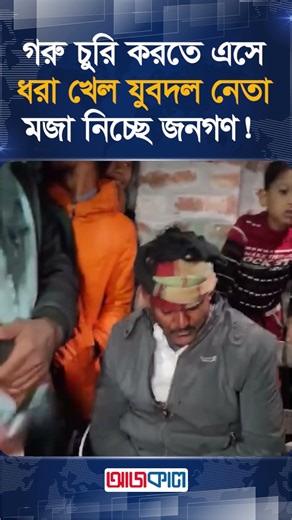 গরু চুরি করতে এসে ধরা খেল যুবদল নেতা, মজা নিচ্ছে জনগণ!