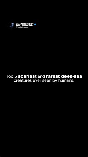 Secrets De L’Ocean on Instagram: "Top 5 des créatures des profondeurs les plus effrayantes et les plus rares jamais vues par l’homme//// 1 : Poisson sans visage Découvert à la fin du XIXe siècle, puis disparu pendant plus d’un siècle, ce poisson semble n’avoir ni yeux ni bouche. Son visage lisse et vide en fait l’une des créatures les plus étranges jamais capturées. Les scientifiques ne l’ont redécouvert qu’en 2017, dans les profondeurs des eaux au large de l’Australie. 2 : Requin-lutin Surnommé