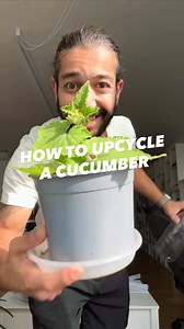 How to upcycle a cucumber 🥒 into many more! 🤩 #science #tiktoklearningcampaign