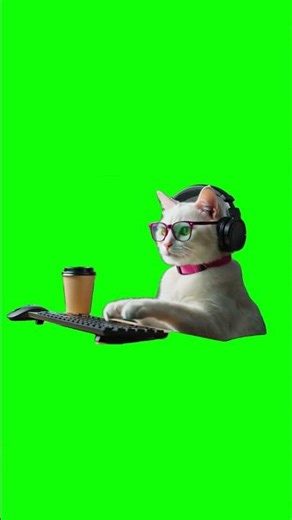 Cat typing keyboard Green Screen Meme