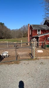 Guardians Farm on Reels