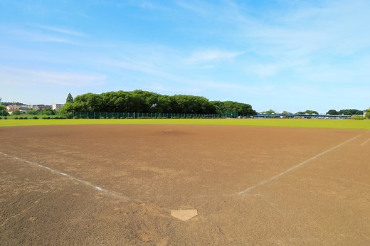 ソフトボールバットのおすすめは？選び方・違い・特徴 [ソフトボール] All About