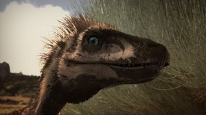 The BEST of Discovery's Dinosaurs 2