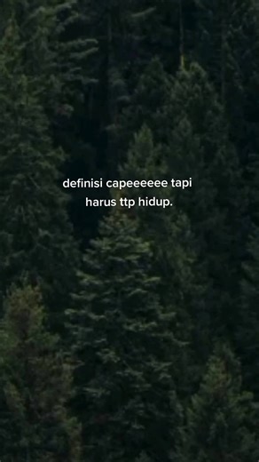 Exploring a Dense Coniferous Forest