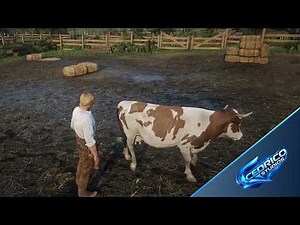 CS RANCH - The Ultimate Ranch Script for RedM