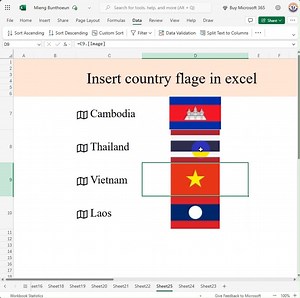 Insert country flage in excel #microsoft #student #khmer #school #office #excel | គ្រូអាយធី