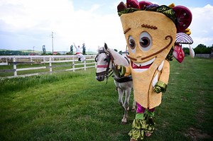 MASKED SINGER ROMANIA