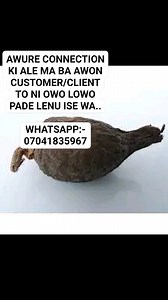 OGUN KI ALE MA BA AWON CUSTOMER/CLIENT TO NI OWO LOWO PADE LENU ISE WA.. (GBOGBO EYAN BATABATA NI ISE YI WULO FUN) (TOFI DE ORI OMO YAHOO) (LATI OWO OMO ORISA) (TESTED AND CONFIRM 100%) Eye adan kan ewe jemiho topo ewe abamoda odidi atare kan ao jopo ao da ebu na si meji ao fi okan singbere si orun owo mejeji idakeji ao da sinu oyin ao mala odaju ao ma ba customer/client olowo pade gbogbo ohun taba wifun ni ofe mase funwa.. Tio bafe ki asiri yi sise fun oo daadaa koko share re si opolopo group, 