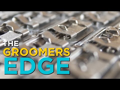 Clipper Blade Sharpening and Repair for Pet Groomers