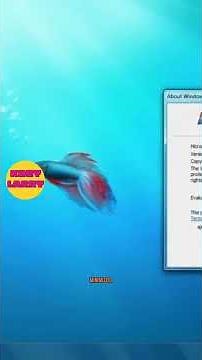 Windows 7: The Art Of Frutiger Aero Design #techhistory #windows7 #frutigeraero