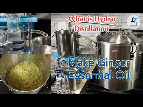 Make Ginger Essential Oil and Hydrosol by Hydro Distillation. How to do Hydro Distillation.