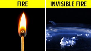 331K views · 2K reactions | Wondefrul science experiments look like pure magic: | 5-Minute MAGIC | Facebook