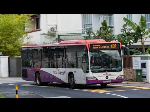 Bus 401 Joyride (Bedok Interchange - Cable Ski Park) (SG1893X)