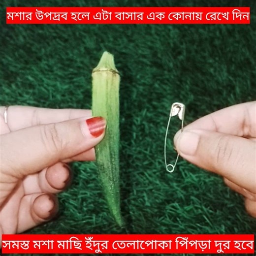 610K views · 2.7K reactions | অতিরি*ক্ত মশার য*ন্ত্রণায় অতি*ষ্ঠ ? এটা বাসার এক কোনায় রেখে দিন বাসা থেকে সমস্ত মশা মাছি ইঁ'দুর তেলাপো'কা টিকটিকি পিঁপড়া চিরতরে দুর হবে আর কোনদিন আসবেনা গ্যারান্টি | Tithe's Vlog & Cooking | Facebook