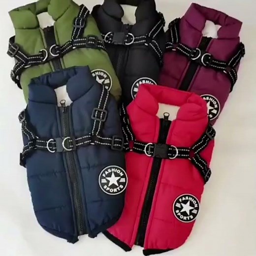 No More Layering! Dog Coat + Harness Combo 🐕❄️