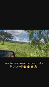 4K views · 14 reactions | E já anota mais essa lida que foi top demais com a cachorrada e os parceiros!! Quem curte, deixa o like e comenta aí oq vc acha dessas caçadas?? . . #brutosdojava | Brutos Do Java | Facebook