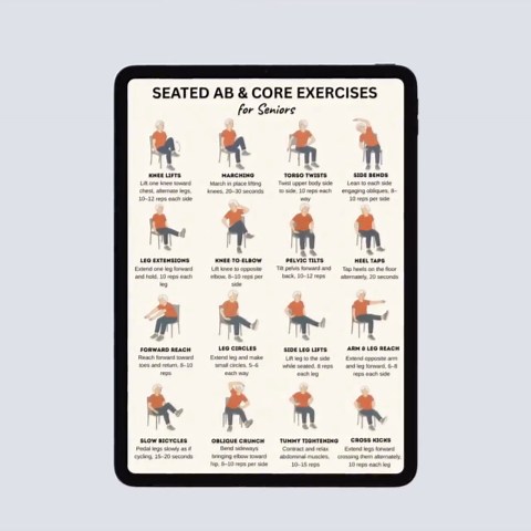 Seated Ab and Core Exercises for Seniors | Chair Workout Printable PDF | Gentle Fitness Routine for Elderly, Low Impact Home Exercise - Etsy