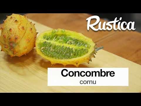 The horned cucumber or kiwano