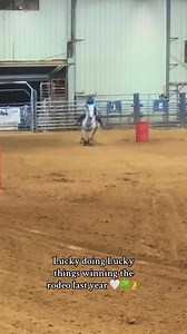 4.3K views · 111 reactions | I miss running him every day! No horse will ever compare 懶 #ridewithsheridan #franksluckybars #fypシ #rodeo | Ride With Sheridan | Facebook