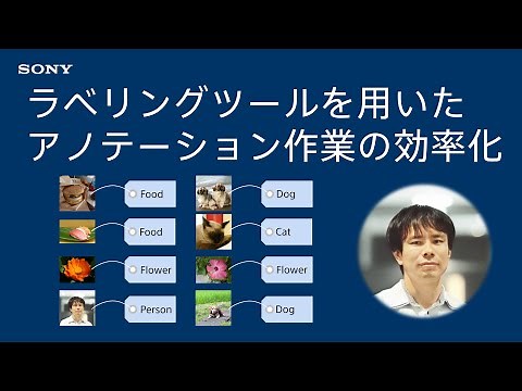 ラベリングツールを用いたアノテーション作業の効率化