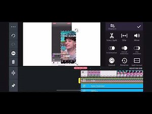 how to make confusion reversed on kinemaster