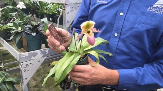 See the Confiscated Plants at the US Botanic Garden Production Facility