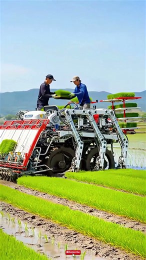 Precision planting explained: See the #agrimachine #paddyfield #heavyequipment #mustsee #shorts