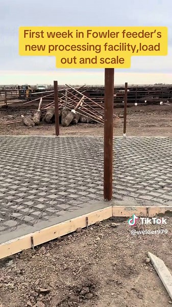 #jhwelding #feedlot #usacattle #kansas #cattle | feeder