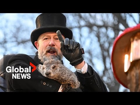 Groundhog Day 2025: Punxsutawney Phil predicts six more weeks of winter