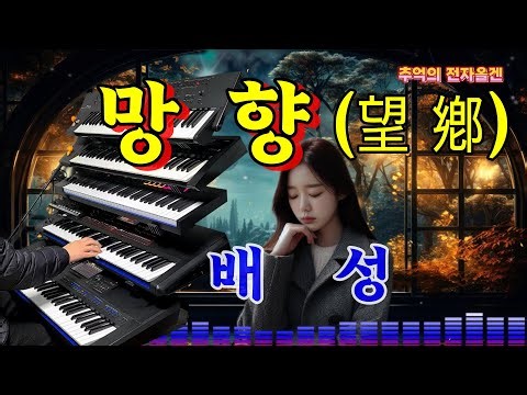 😭 망향 - 배성/전자올겐 연주/블루스, 트로트/흘러간 옛노래/Korean Old Pop song