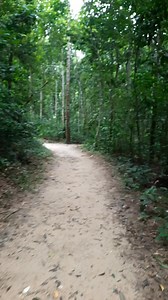 Hill tracking #hill #LawacharaNationalPark #Sreemangal | Travel To Know | Facebook