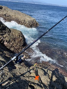 カゴ釣りのおすすめ仕掛けとタックル紹介。堤防や磯から釣れる最強の裏技解説 | FISHING-FISHING