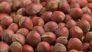 looped spinning hazelnuts with the shell close-up full frame background