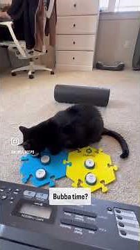 How I teach my cat to communicate with #fluentpet buttons
