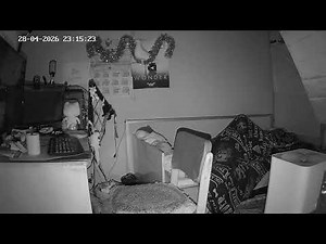 Живу. Постоянная живая трансляция 24/7 (камера 2)